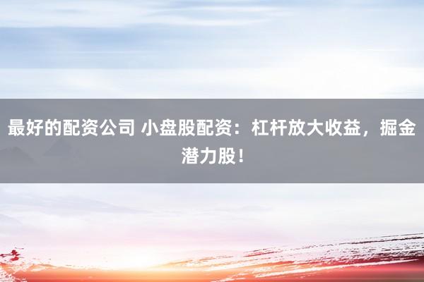 最好的配資公司 小盤股配資:杠桿放大收益,掘金潛力股!